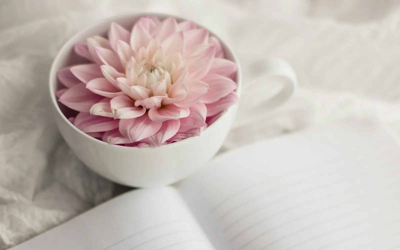 Open lined gratitude journal next to a cup holding a pink flower