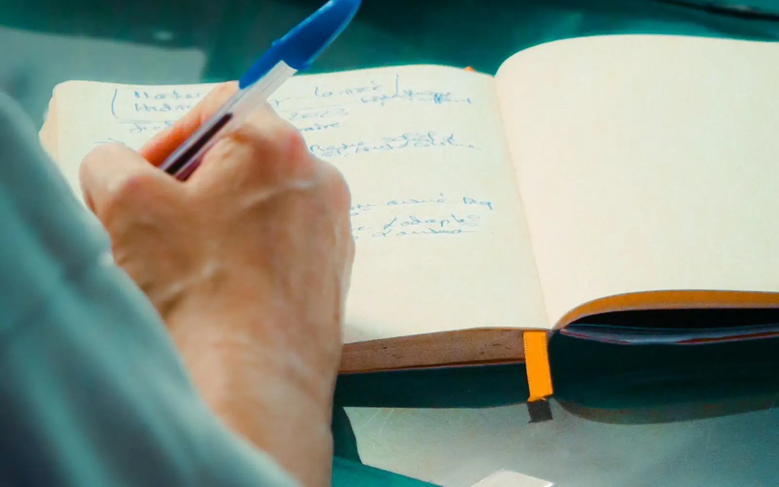 Hand writing in a journal with a blue pen